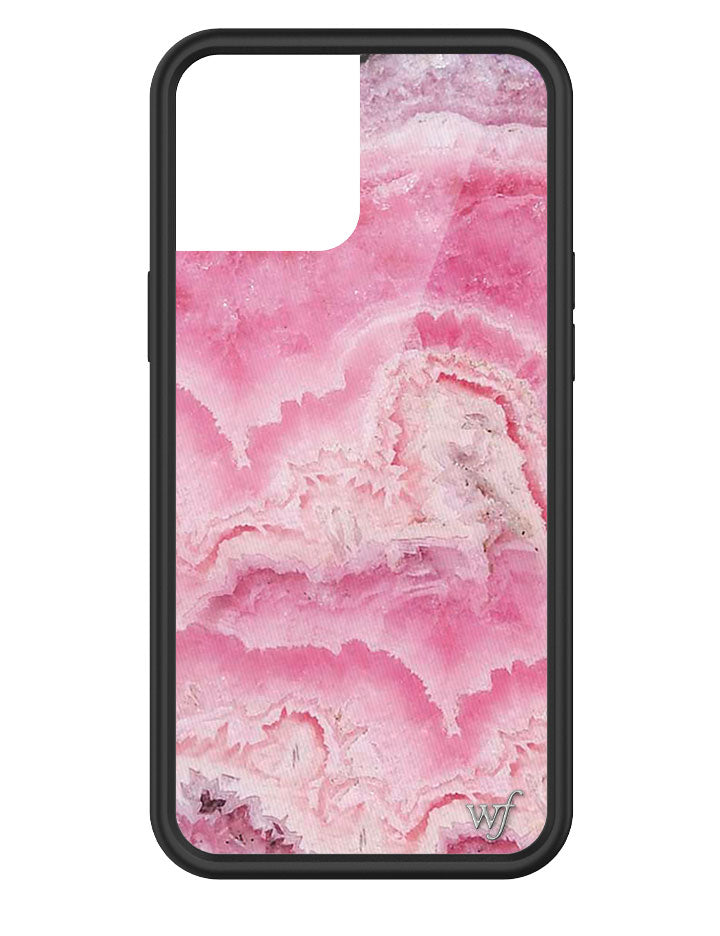 Wildflower case popular iphone 12/12 Pro