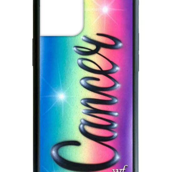 Wildflower Cancer Airbrush iPhone 12 Mini Case